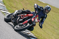 enduro-digital-images;event-digital-images;eventdigitalimages;lydden-hill;lydden-no-limits-trackday;lydden-photographs;lydden-trackday-photographs;no-limits-trackdays;peter-wileman-photography;racing-digital-images;trackday-digital-images;trackday-photos